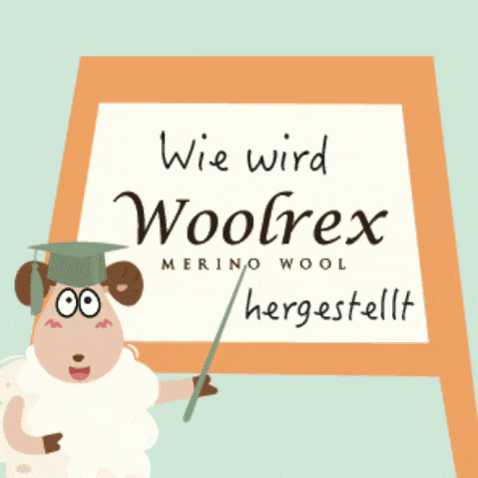 Die Lieferkette transparent und Schritt für Schritt erklärt